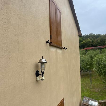 Agriturismo Il Sorbo Appartamento Menta Sticciano 외부 사진