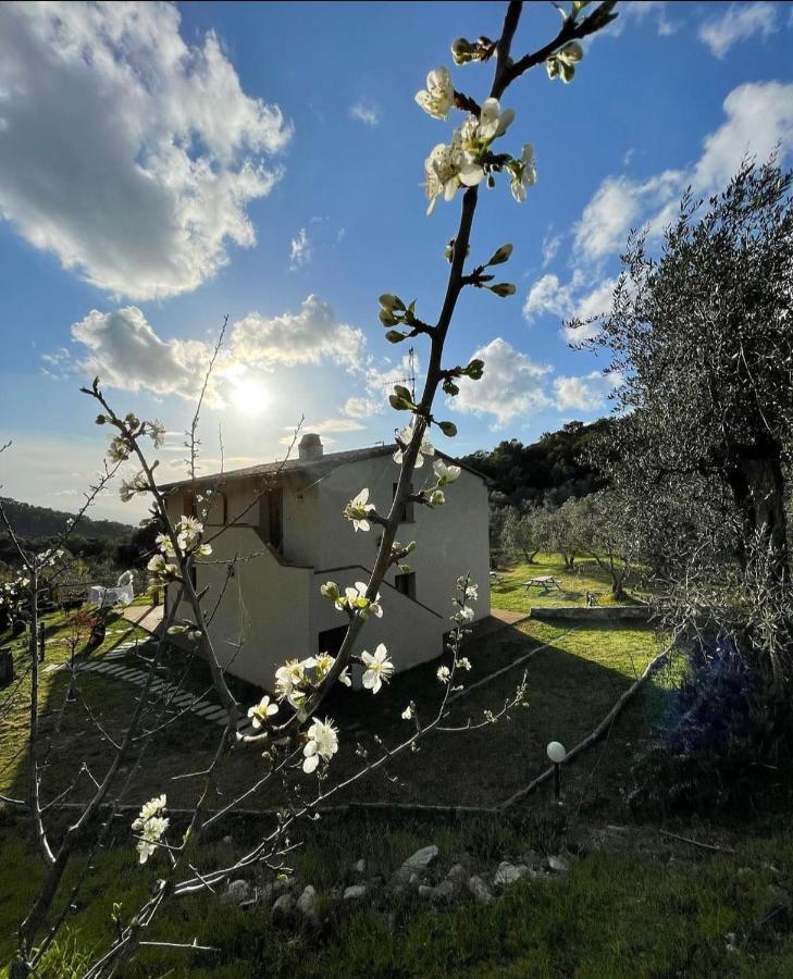 Agriturismo Il Sorbo Appartamento Menta Sticciano 외부 사진