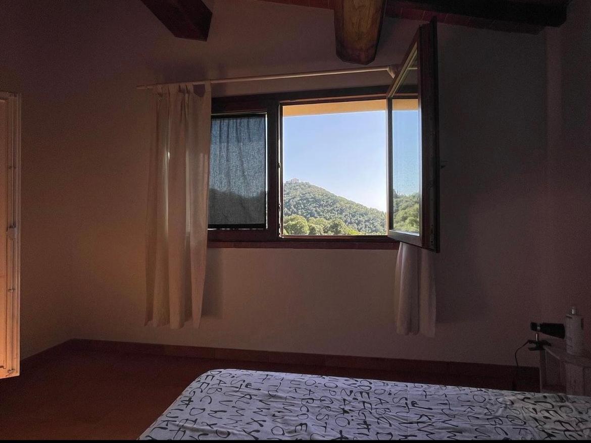 Agriturismo Il Sorbo Appartamento Menta Sticciano 외부 사진